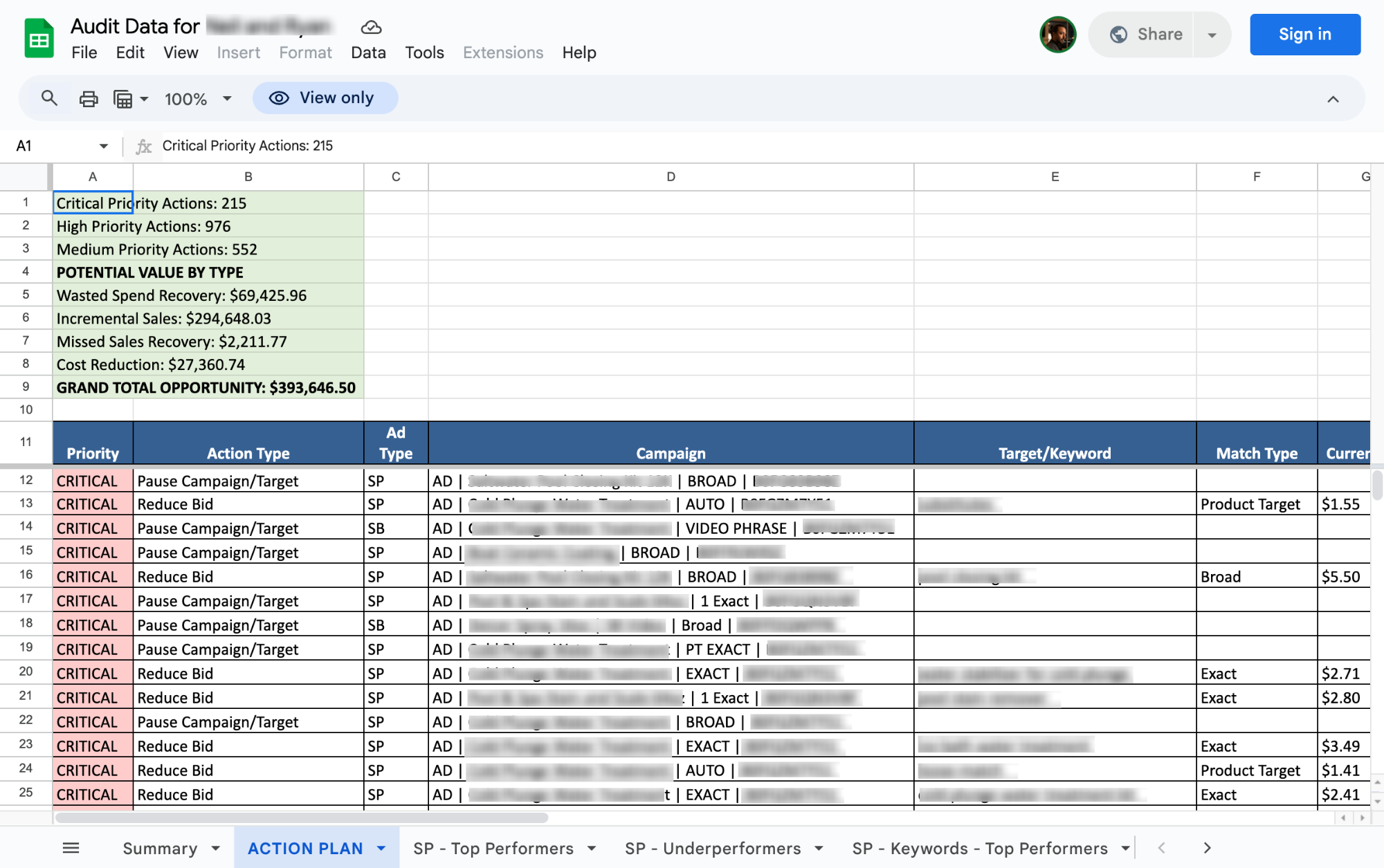 Audit Action Plan showing prioritized recommendations